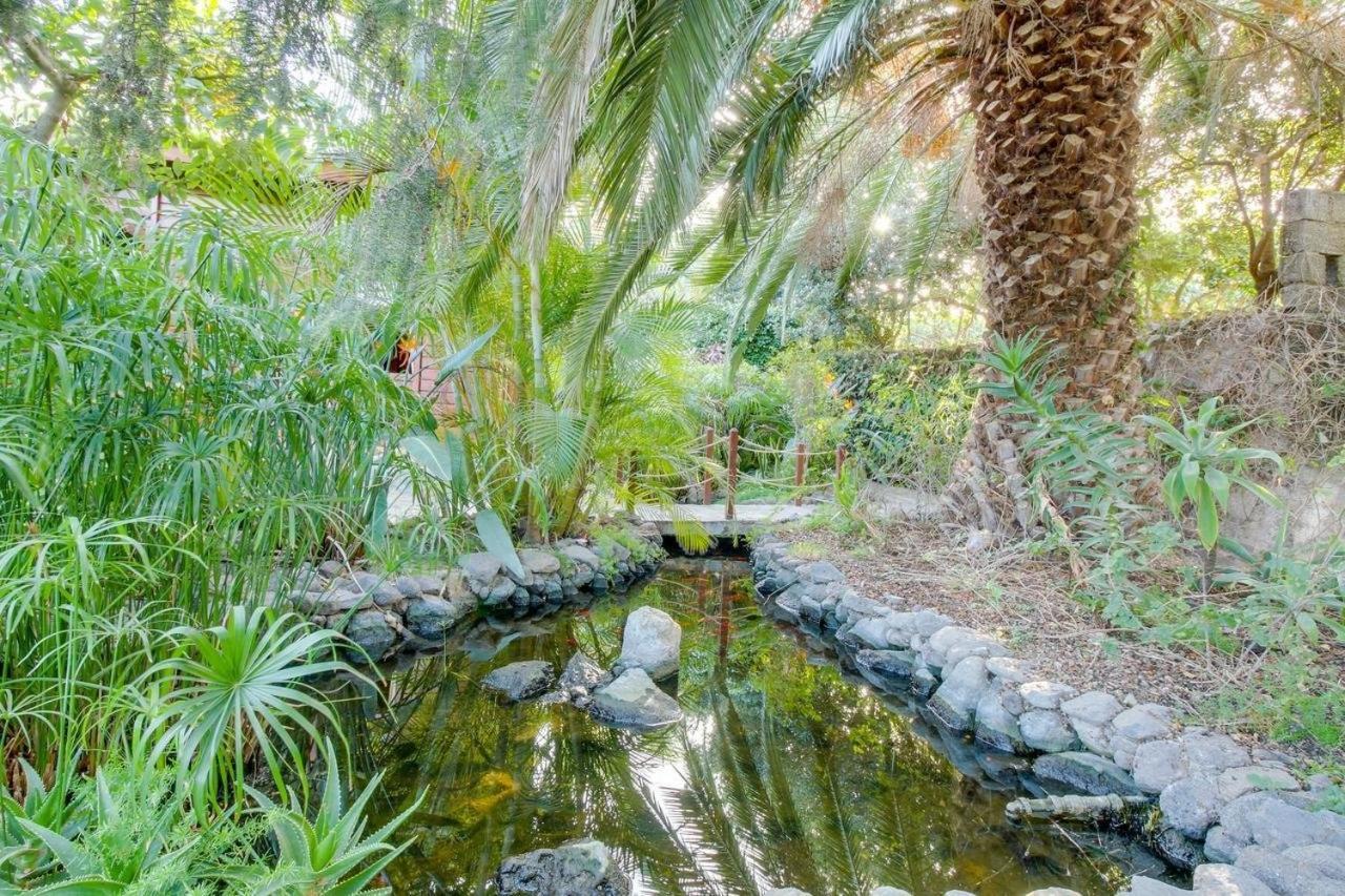 Villa Mimosa Arafo Buitenkant foto