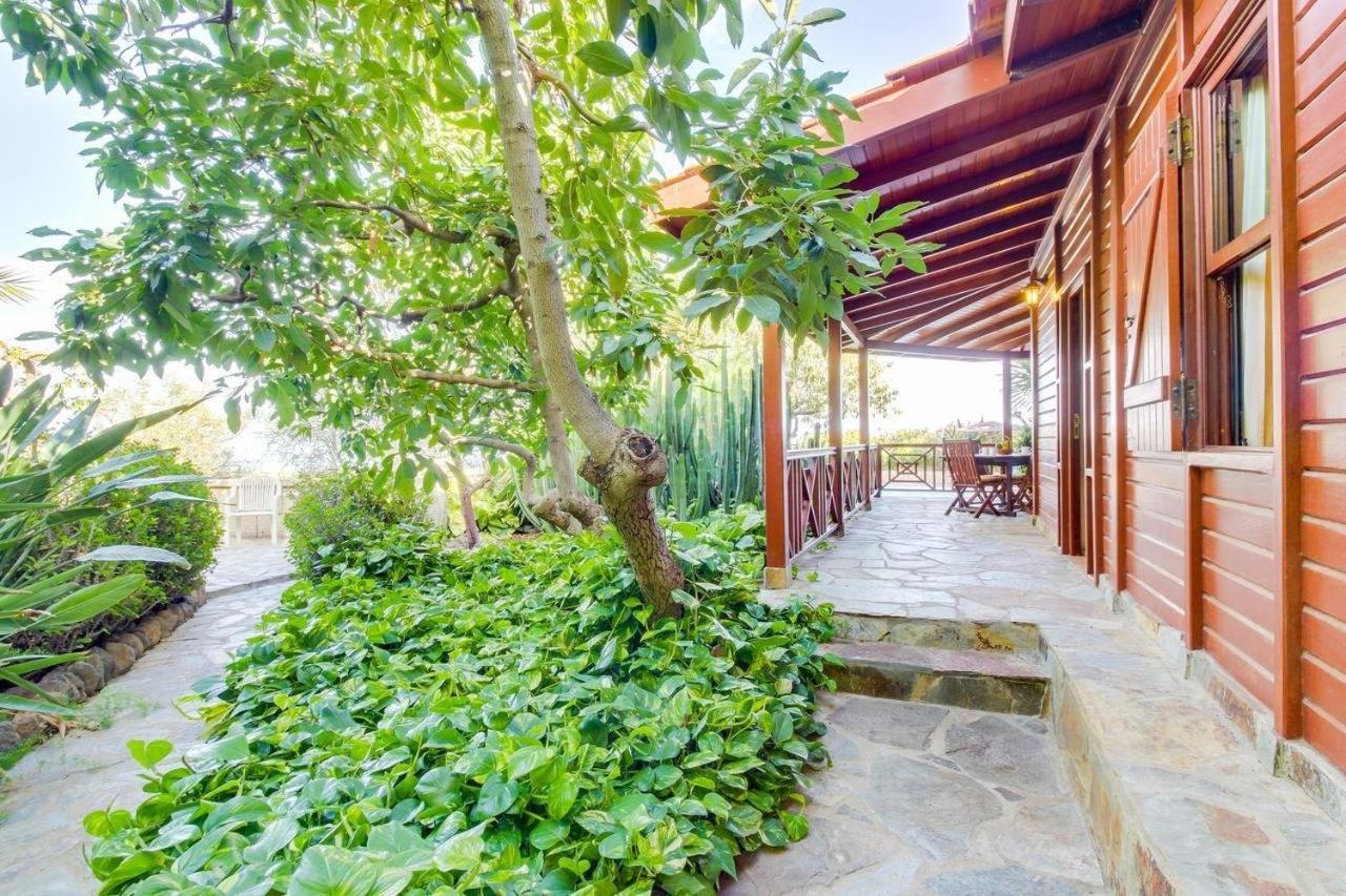Villa Mimosa Arafo Buitenkant foto